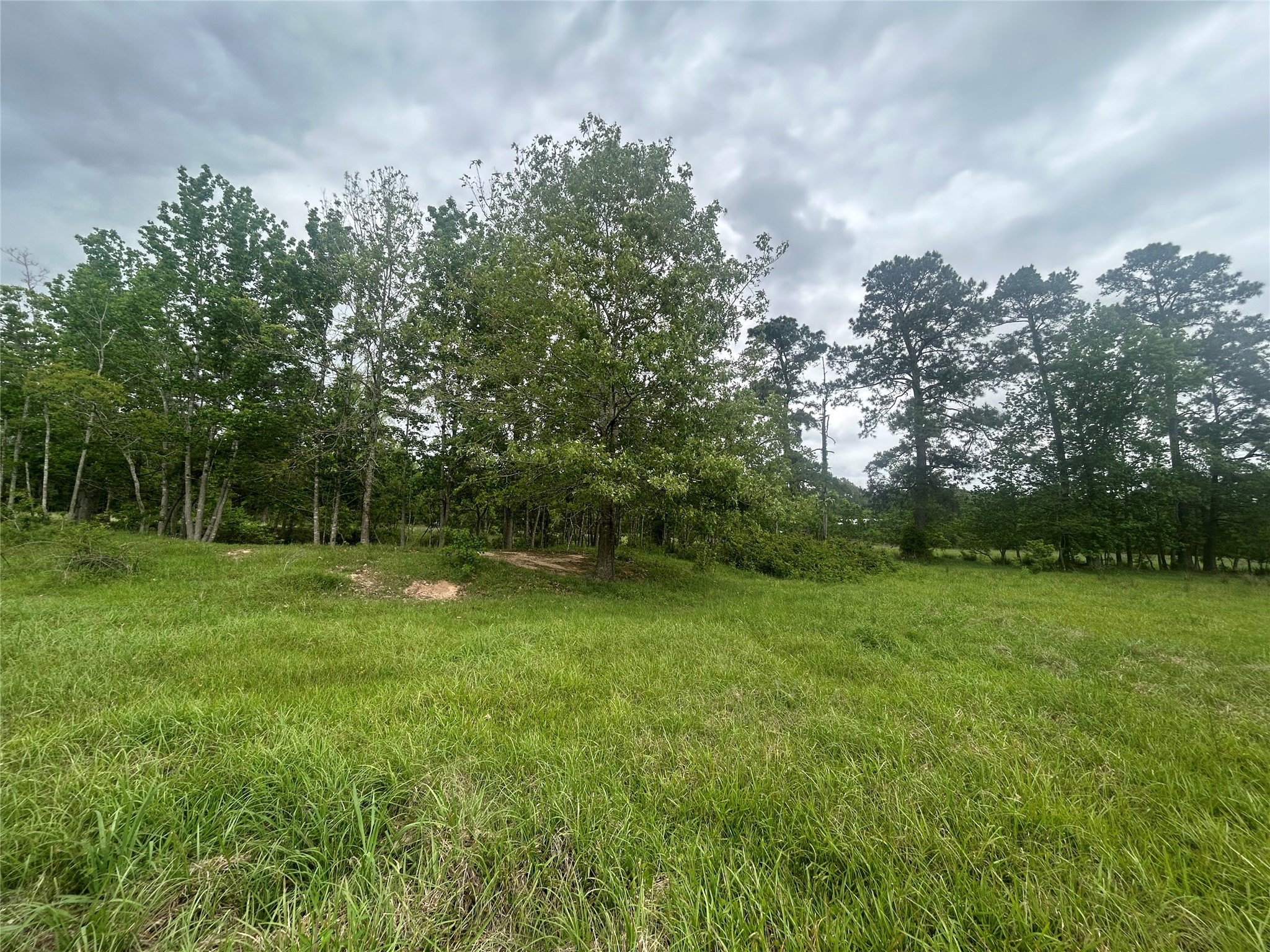 Lot 1 Minnie West Road Hull, TX 77564 - Photo 12 of 16 a view of a green yard
