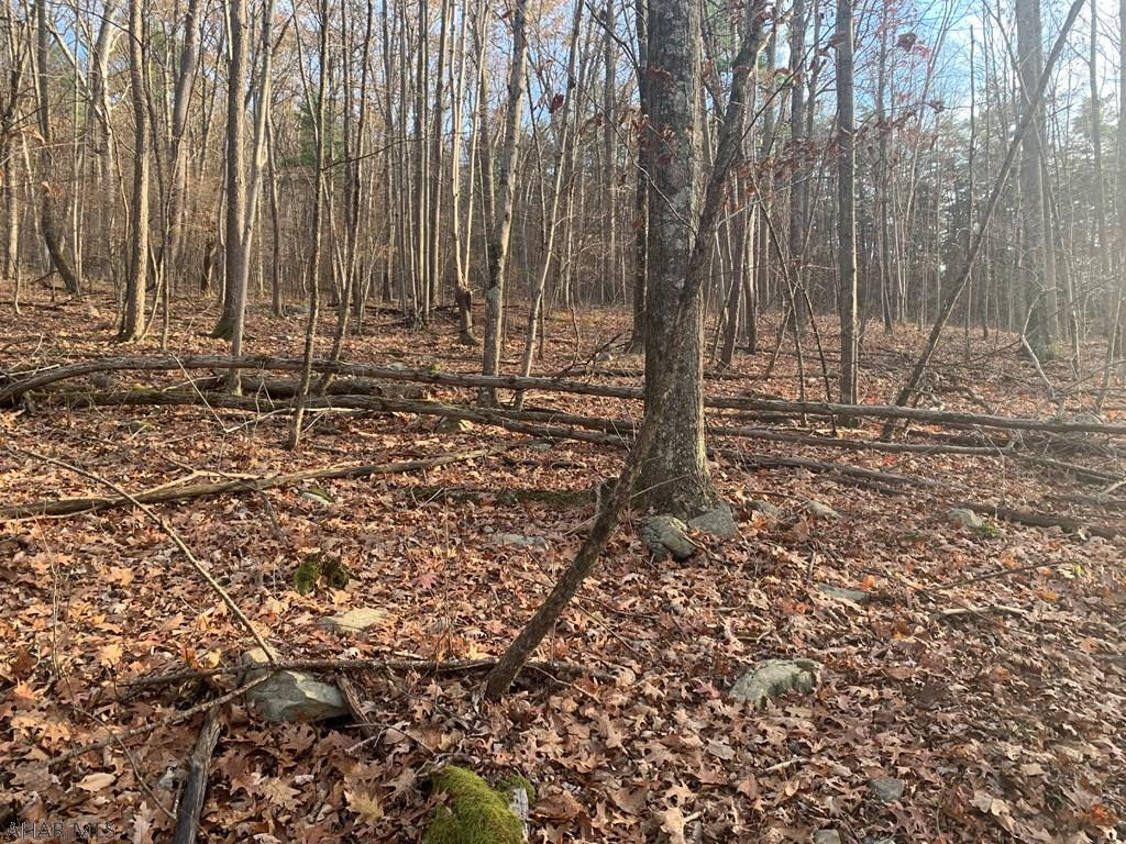Lot I Clear Ridge Road Clearville, PA 15535 - Photo 12 of 24