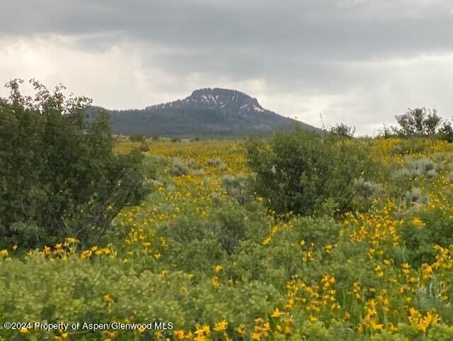 thumbnail_IMG_1606 765 b