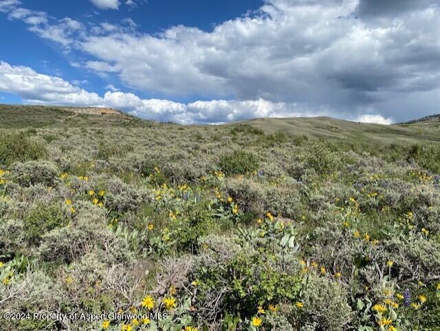 196 Eagle Loop Craig, CO 81625 - Photo 3 of 5 thumbnail_IMG_0288 765 c
