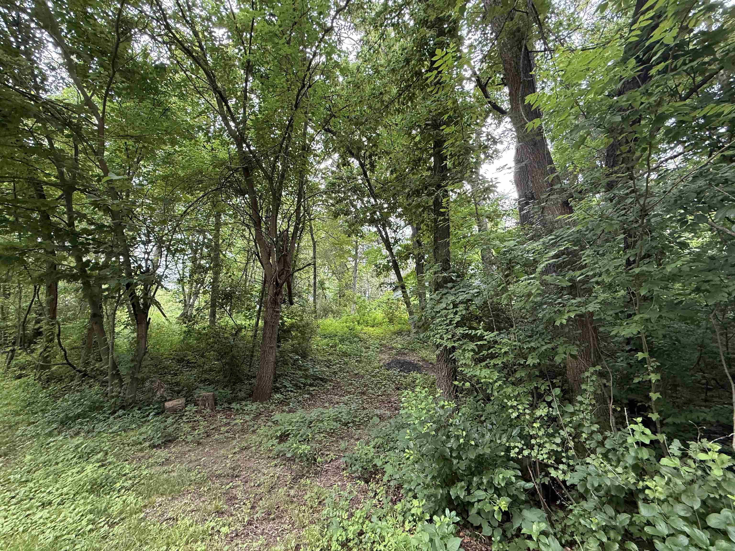 Lot 2 St Lawrence Bluff Poynette, WI 53955 - Photo 4 of 9