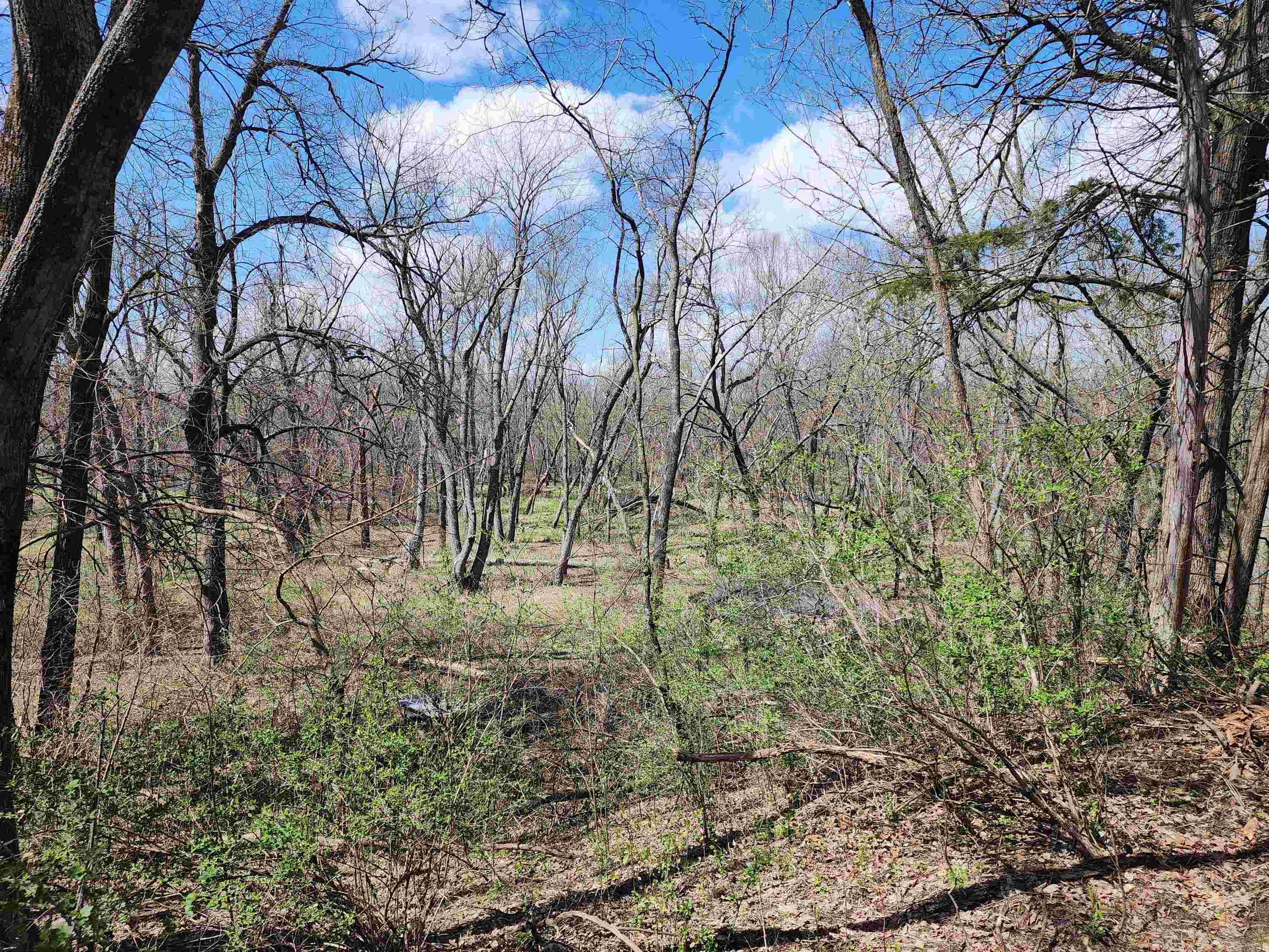 Lot 2 St Lawrence Bluff Poynette, WI 53955 - Photo 6 of 9