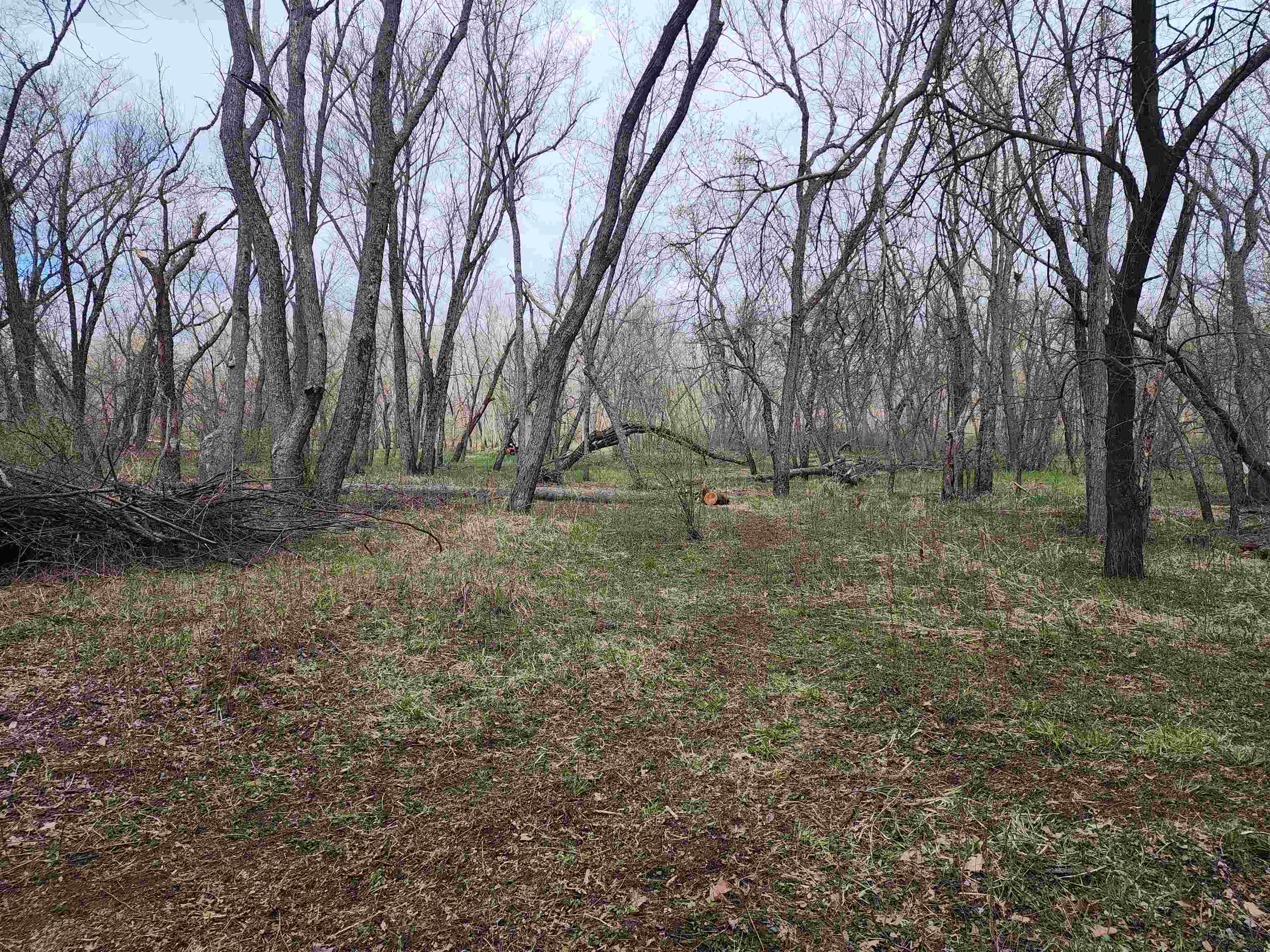 Lot 2 St Lawrence Bluff Poynette, WI 53955 - Photo 7 of 9