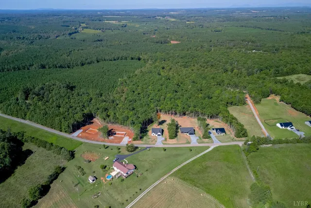an aerial view of residential houses with outdoor space and trees