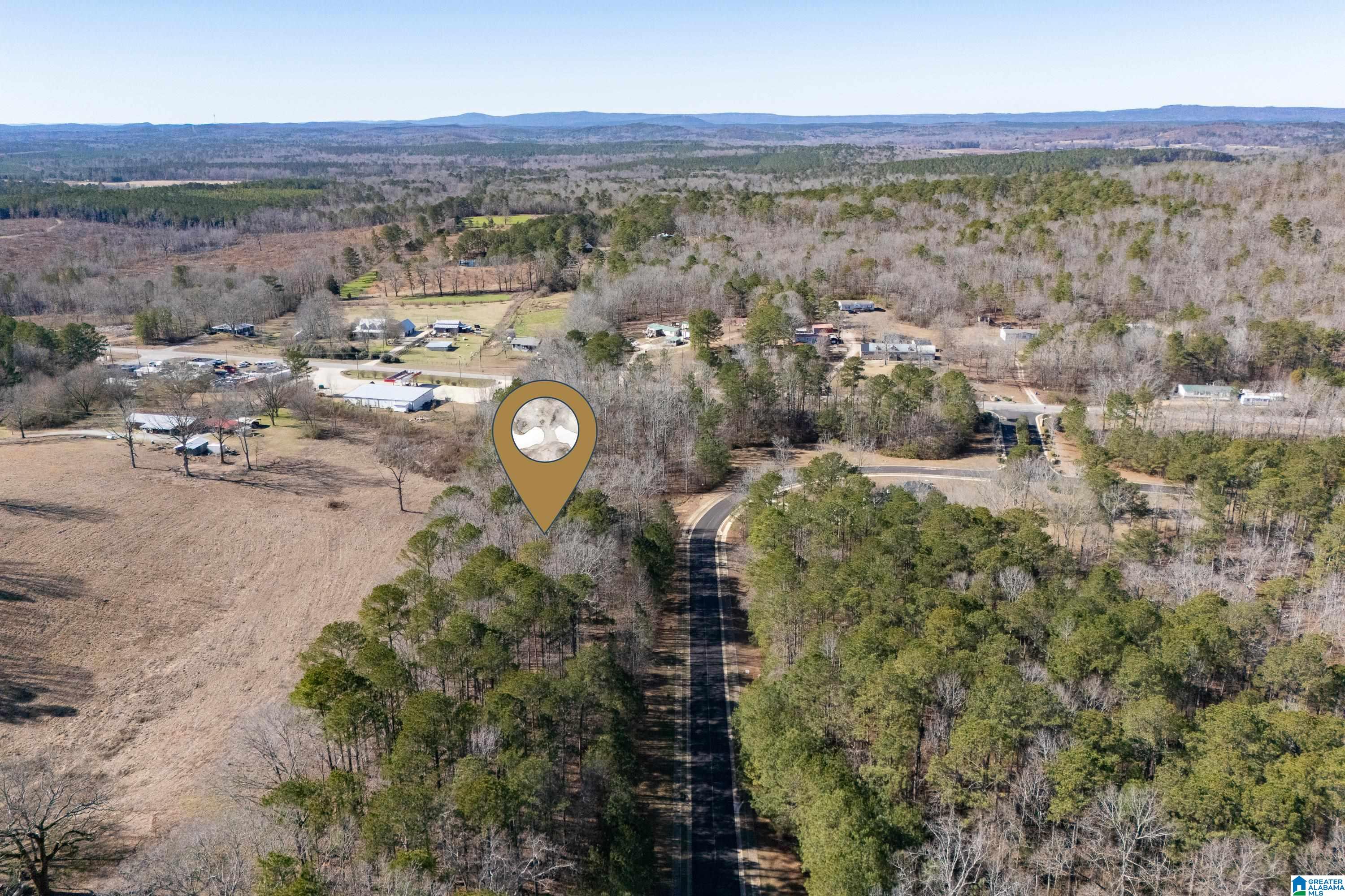 100 Coves Drive Vincent, AL 35178 - Photo 11 of 21