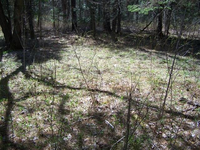 Tbd Tbd River Road Mattawamkeag, ME 04459 - Photo 2 of 11 Photo