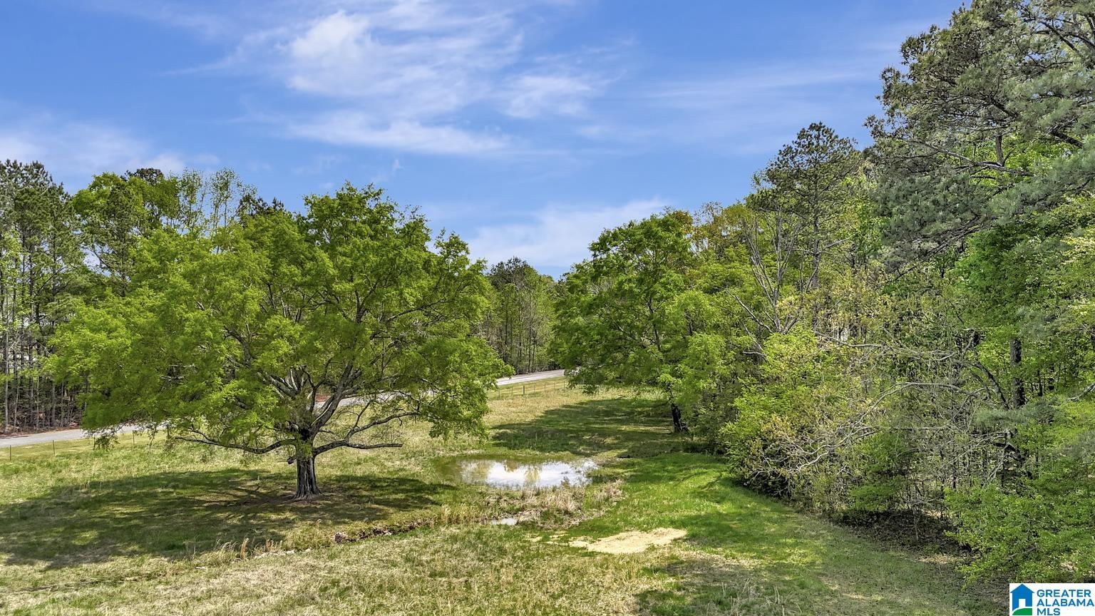 515 Hoyt Hill Road Ashville, AL 35953 - Photo 2 of 49