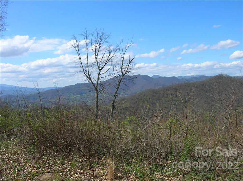 Lot#23 Gap Road Waynesville, NC 28786 - Photo 2 of 6 a view of a backyard of the house