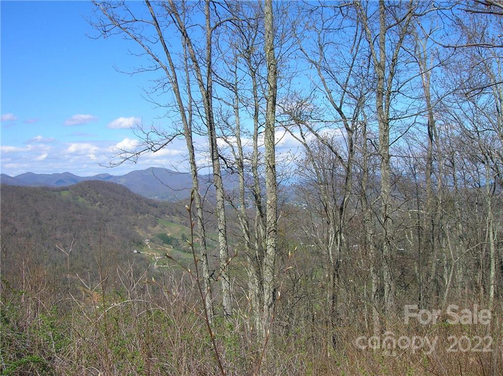 Lot#23 Gap Road Waynesville, NC 28786 - Photo 5 of 6 a view of a yard with a tree