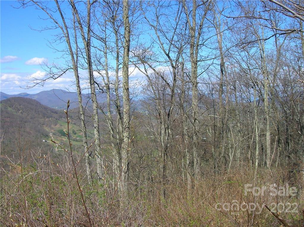 Lot#23 Gap Road Waynesville, NC 28786 - Photo 6 of 6 a view of forest