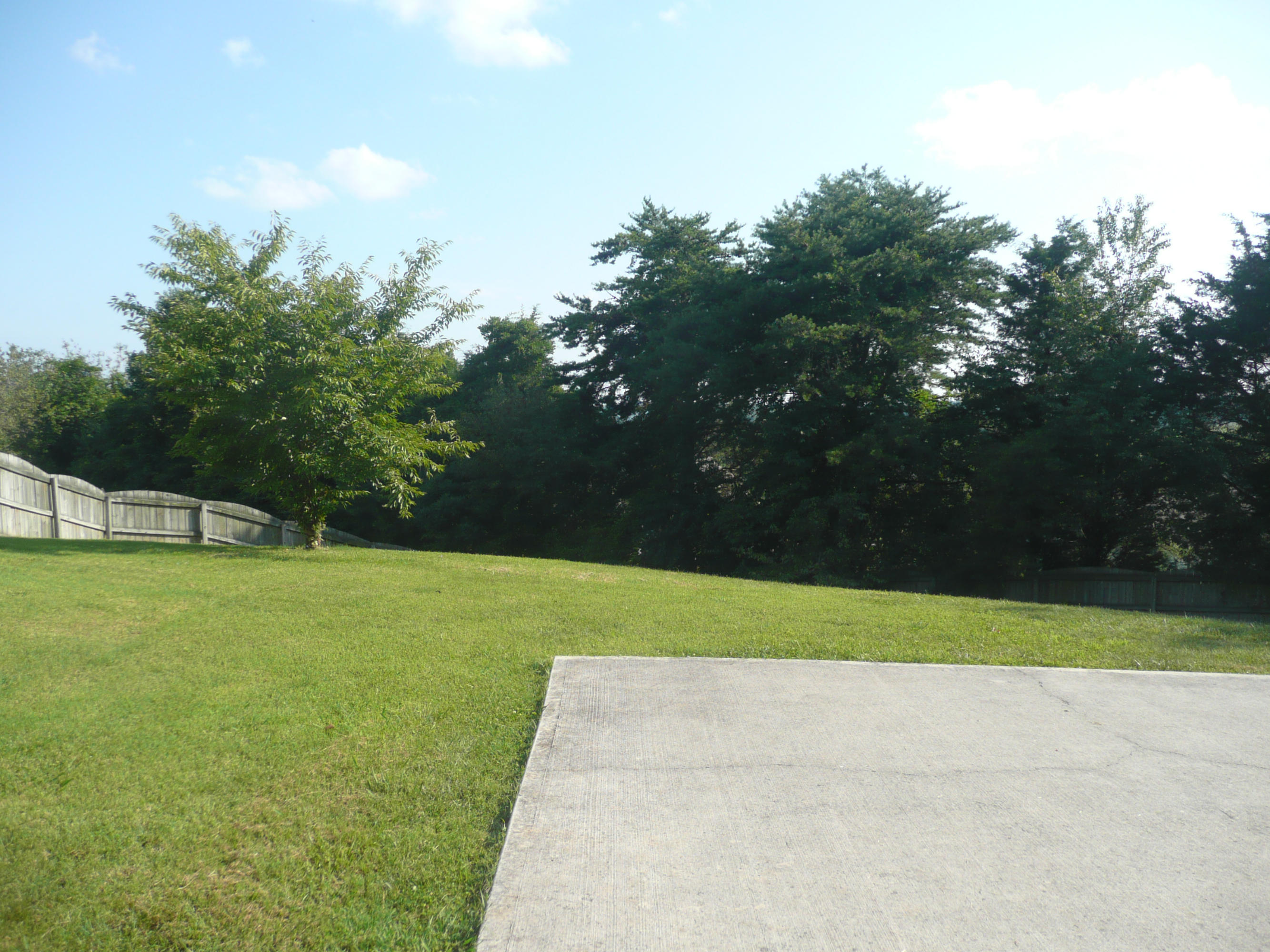 1413 Wineberry Road Powell, TN 37849 - Photo 23 of 30 P1100470