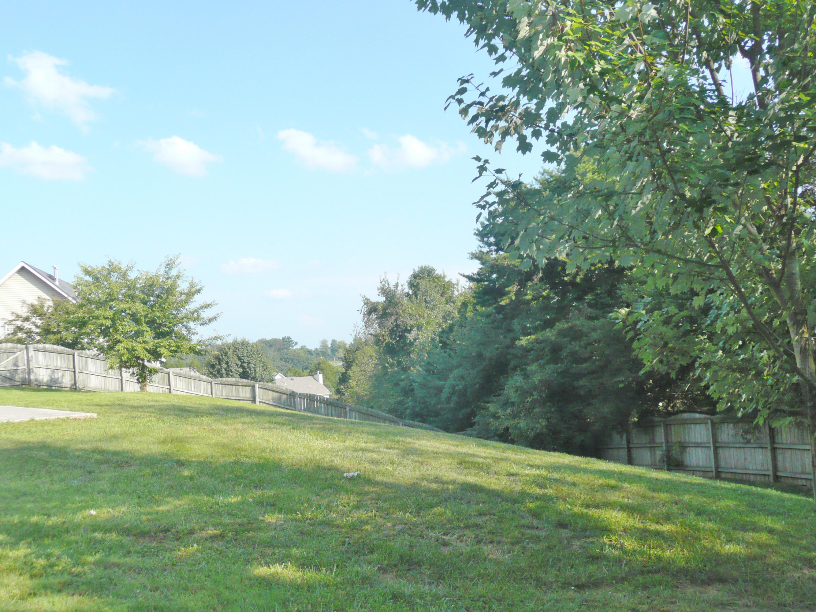 1413 Wineberry Road Powell, TN 37849 - Photo 28 of 30 P1100473
