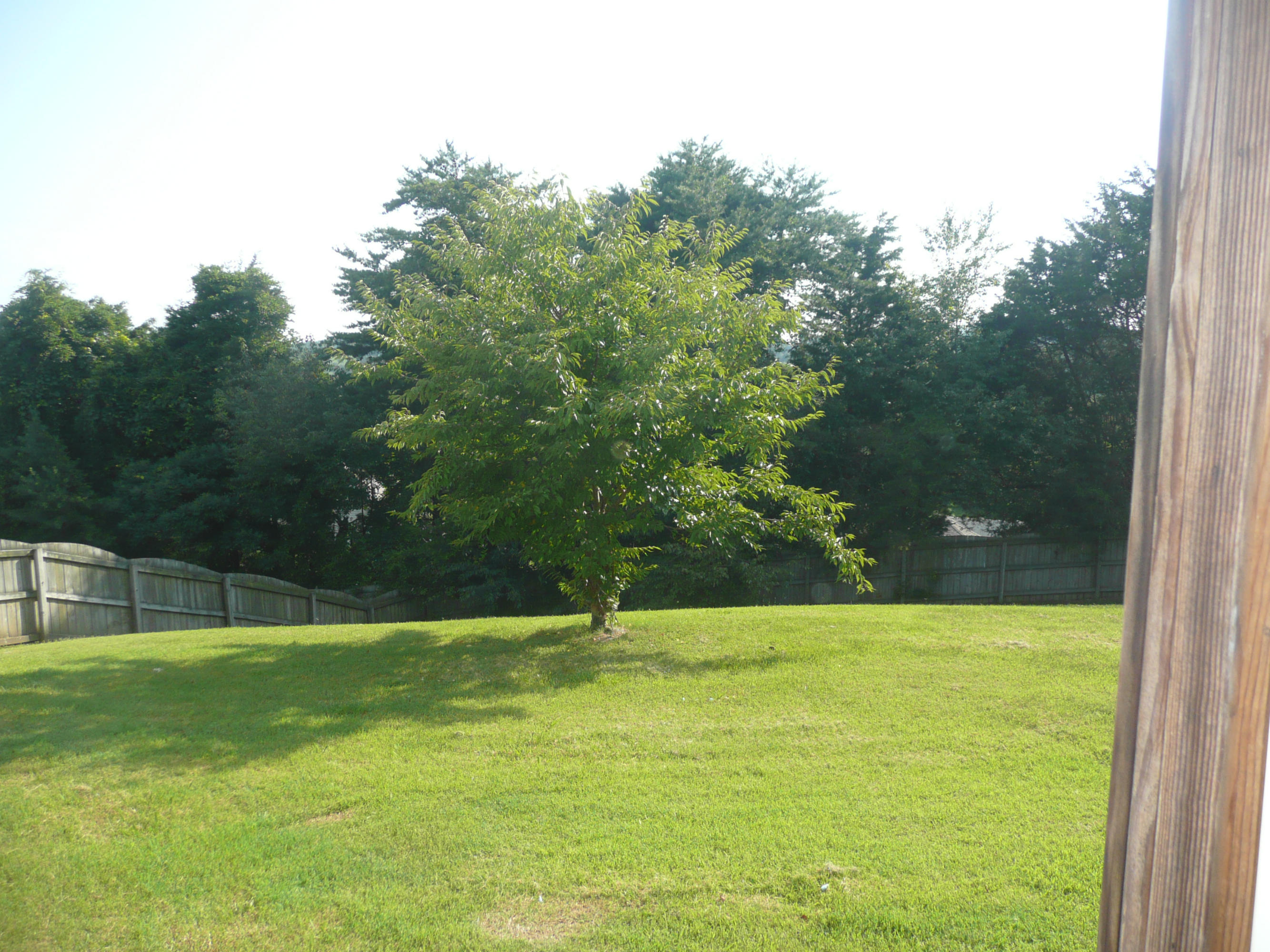 1413 Wineberry Road Powell, TN 37849 - Photo 30 of 30 P1100477