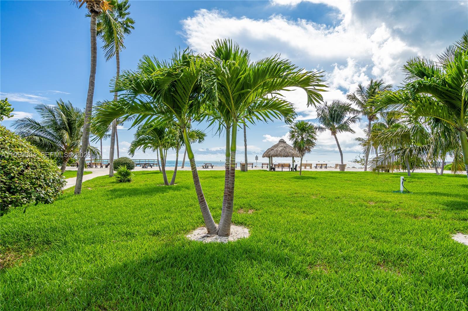 410 10th Street Key Colony Beach, FL 33051 - Photo 50 of 62 a view of a backyard with palm trees