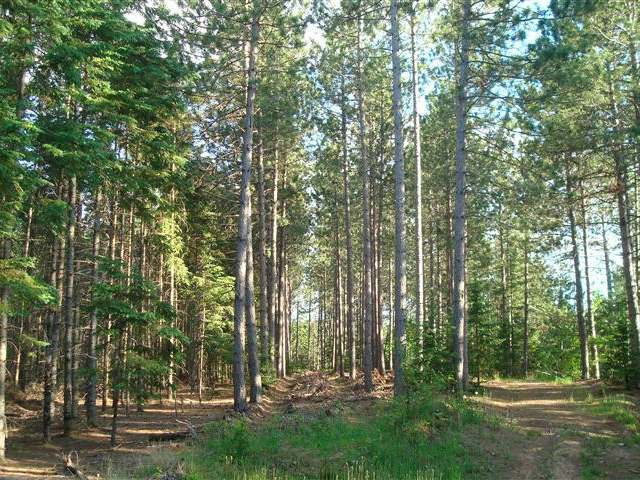 On Ripco Road, Unit 40 Rhinelander, WI 54501 - Photo 2 of 3 Gallery Image 2
