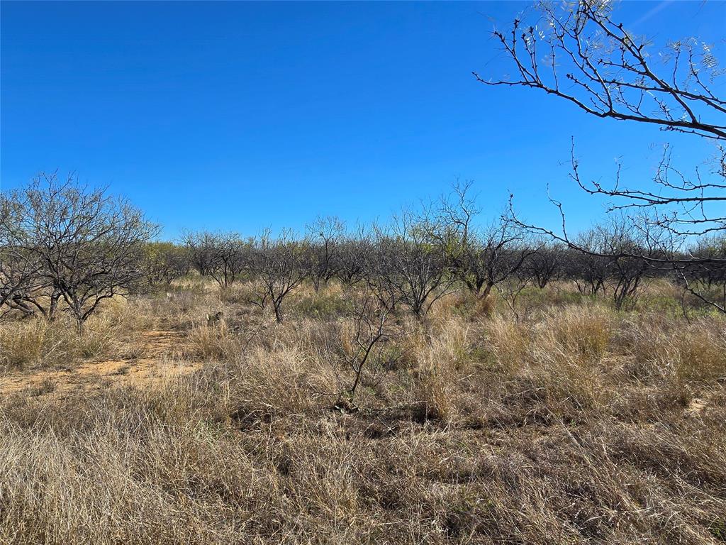 5780 County Road 266 Rochelle, TX 76872 - Photo 14 of 40