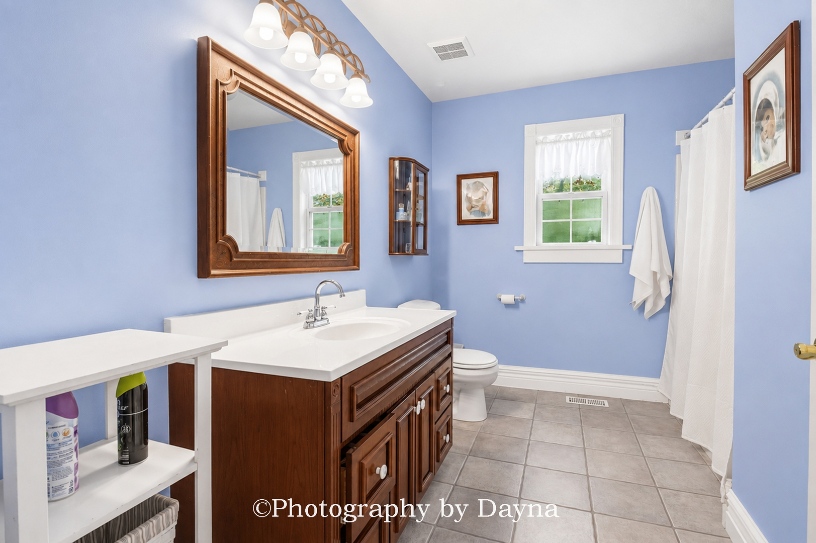 21329 Hillside Road Frankfort, IL 60423 - Photo 39 of 55 Gallery Image 39