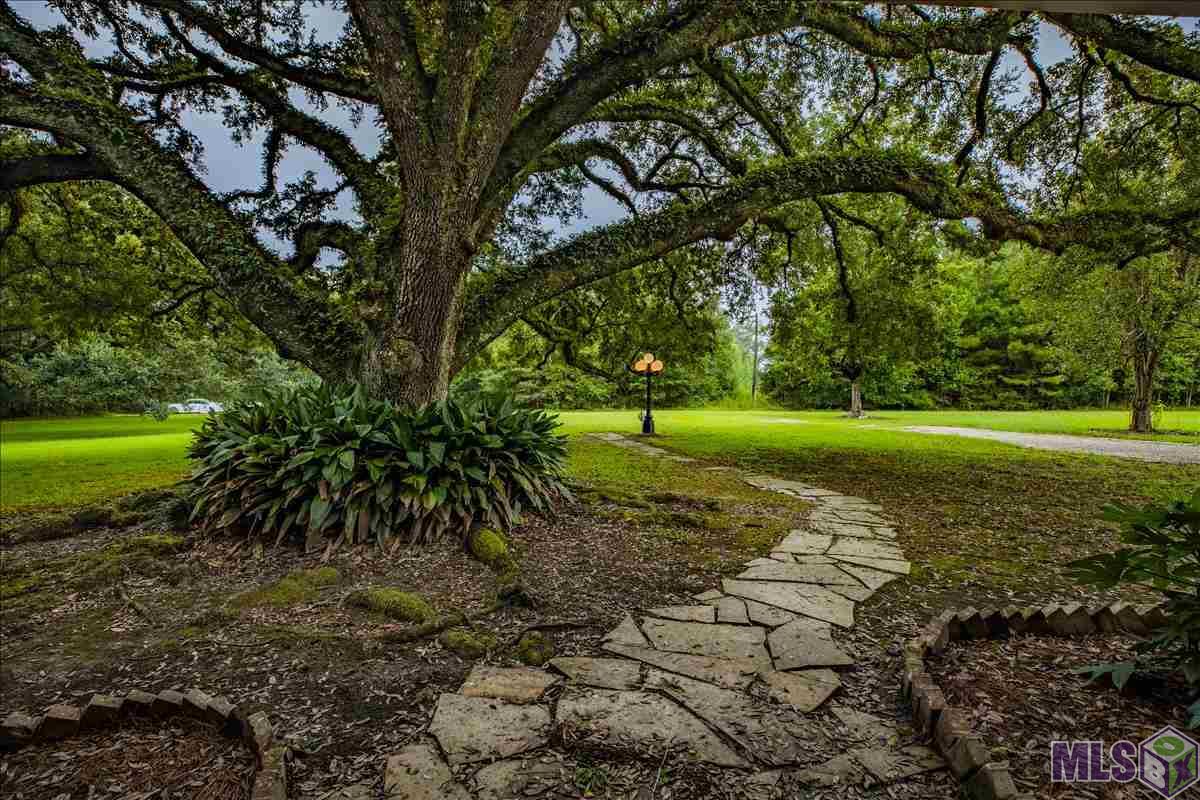 26425 Pierson Road Holden, LA 70744 - Photo 33 of 36 Gallery Image 33