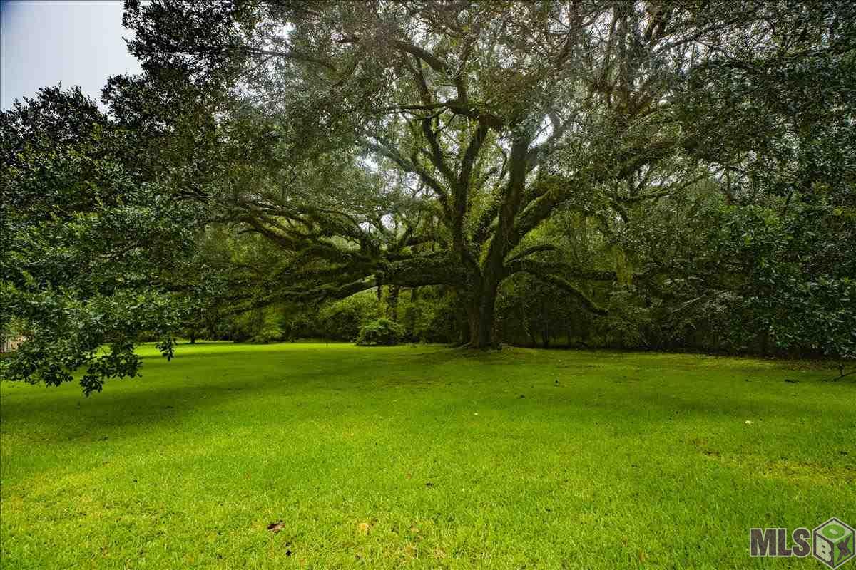 26425 Pierson Road Holden, LA 70744 - Photo 6 of 36 Gallery Image 6