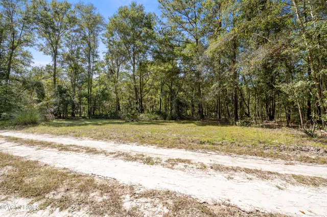 $239,000 | 469 Evangelist Drive, Early Branch, SC 29916