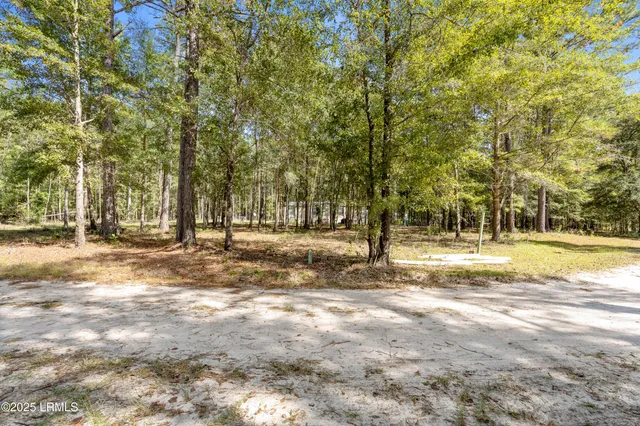 $239,000 | 469 Evangelist Drive, Early Branch, SC 29916