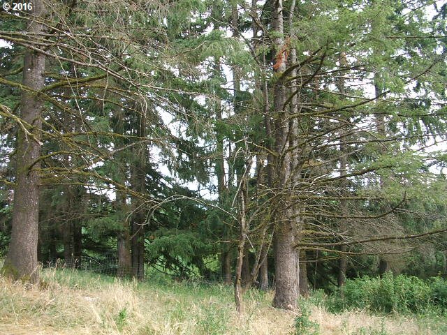 56594 Walker Road Scappoose, OR 97056 - Photo 6 of 6 Gallery Image 6