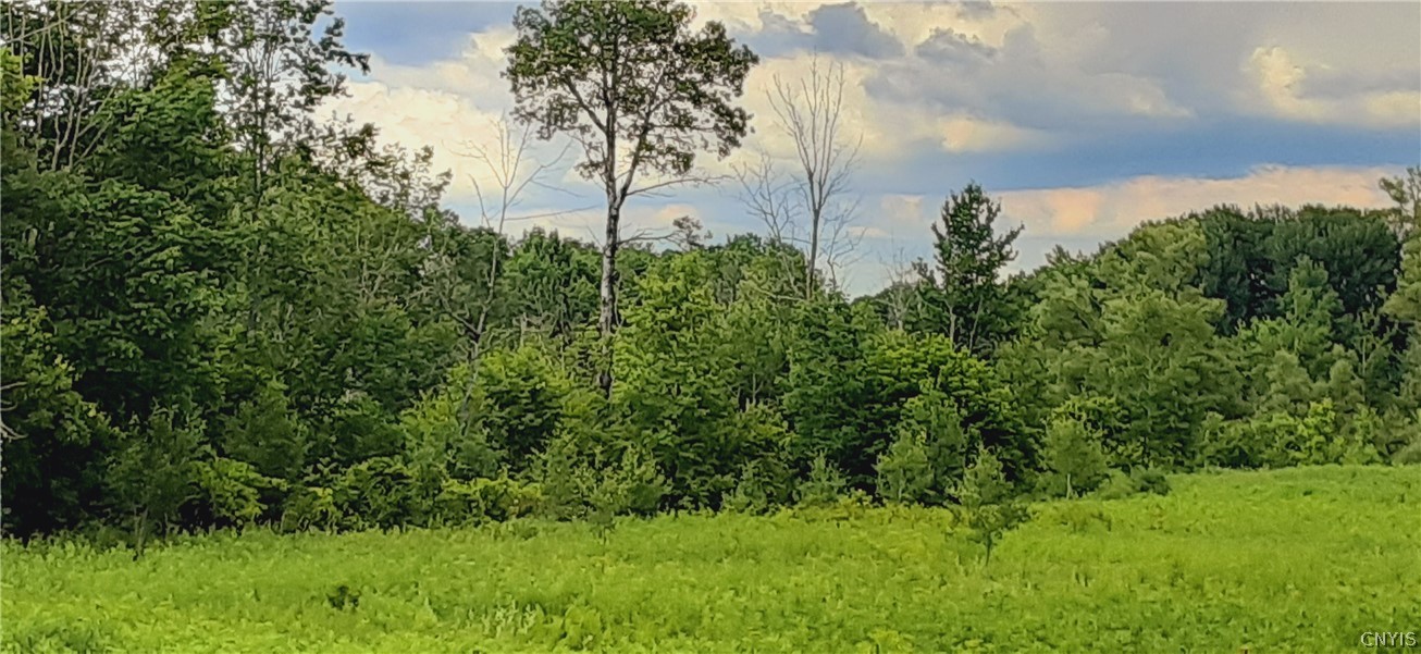 271 Snyder Road Newport, NY 13416 - Photo 26 of 41
