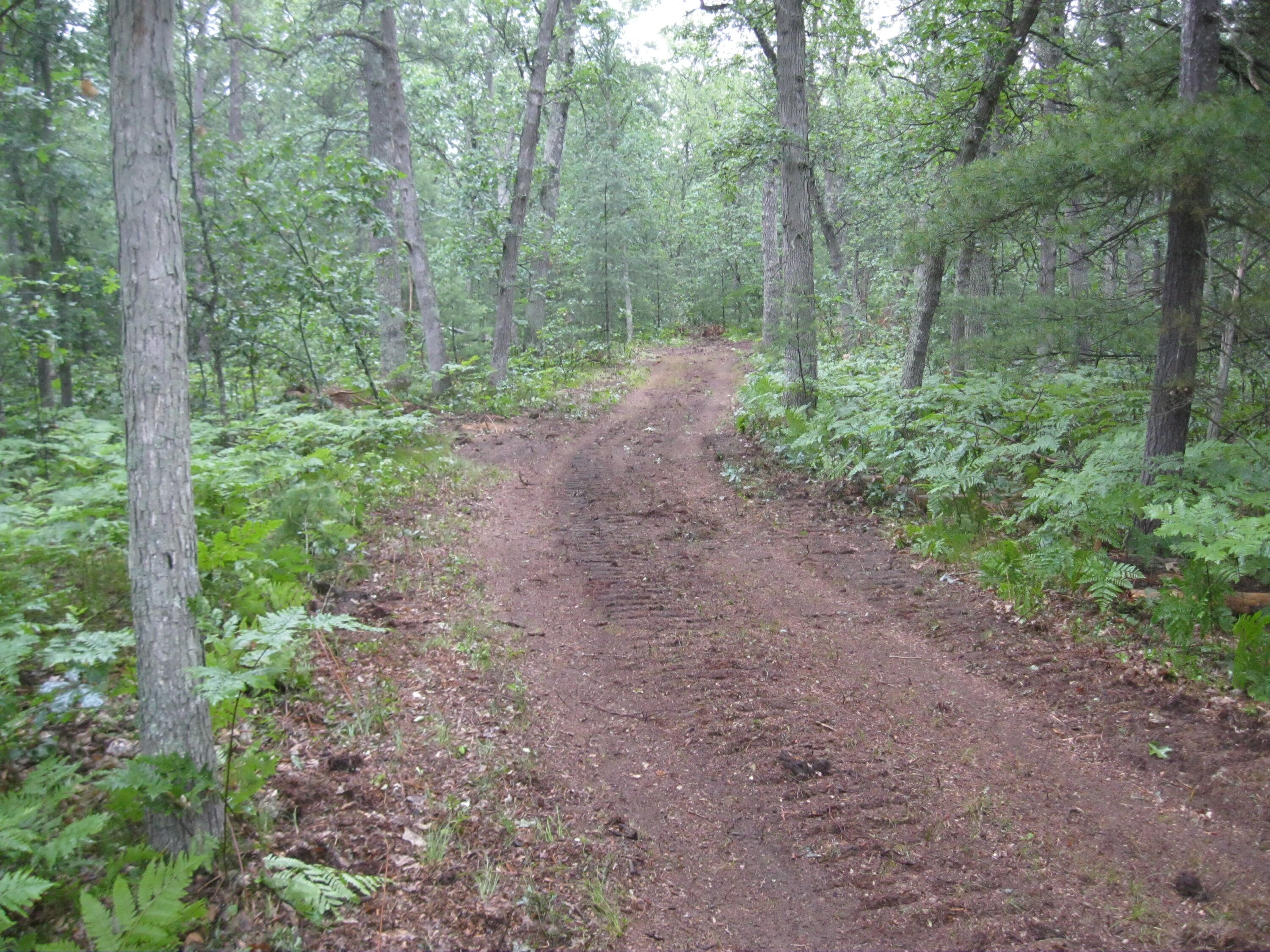 497 North Horseshoe Bend Road Manistee, MI 49660 - Photo 14 of 17 149 (002)