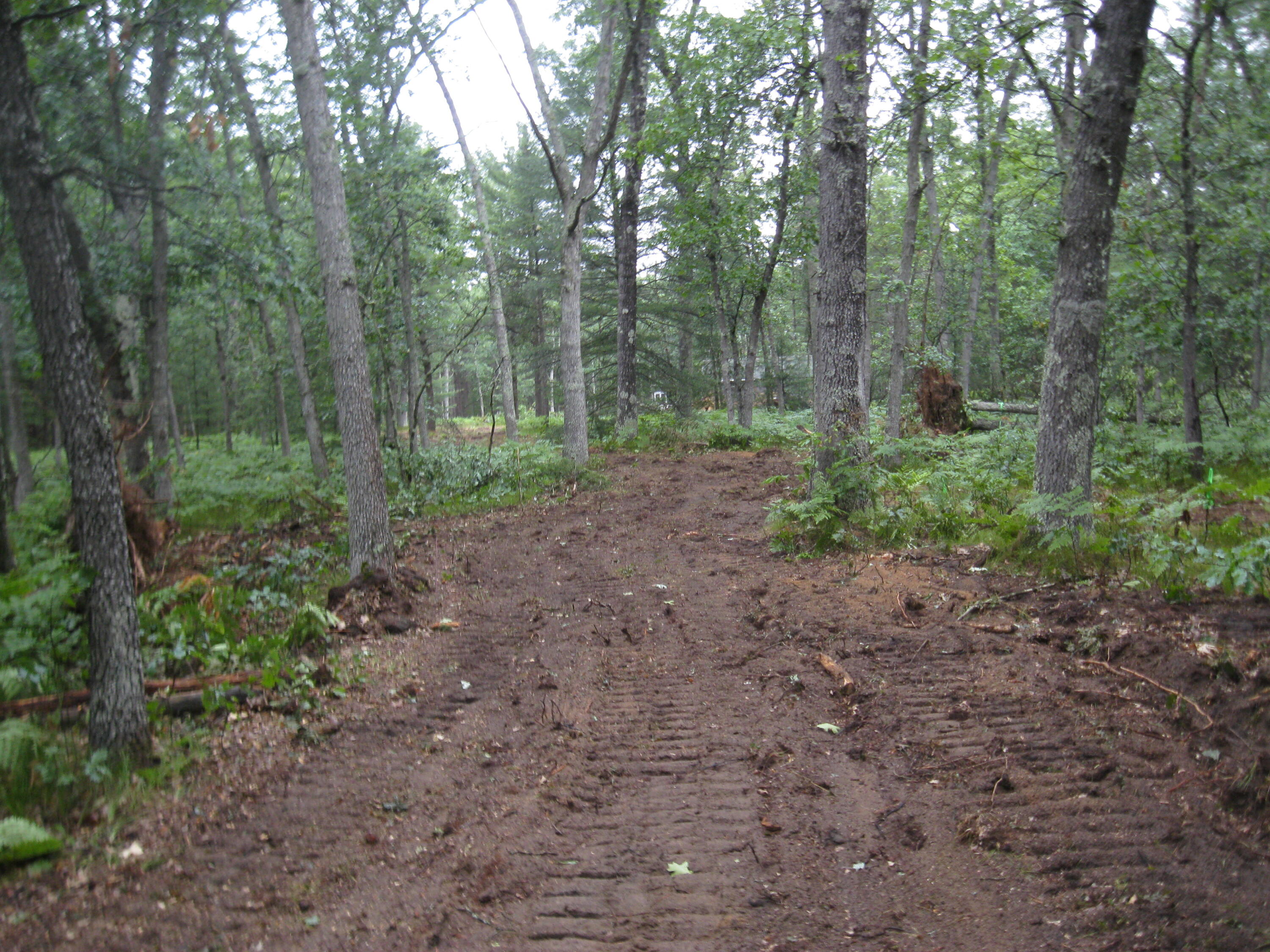 497 North Horseshoe Bend Road Manistee, MI 49660 - Photo 15 of 17 161 (002)