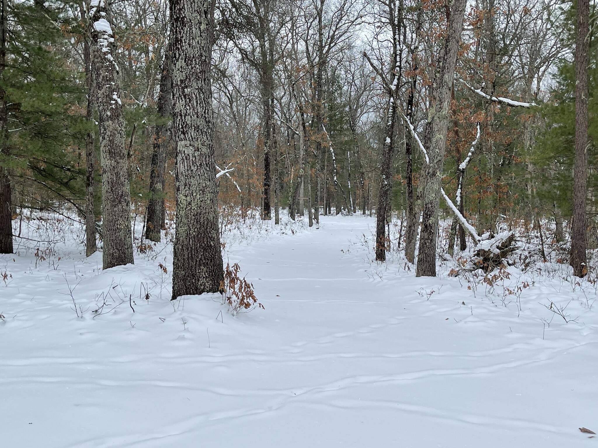 497 North Horseshoe Bend Road Manistee, MI 49660 - Photo 5 of 17 IMG_2216