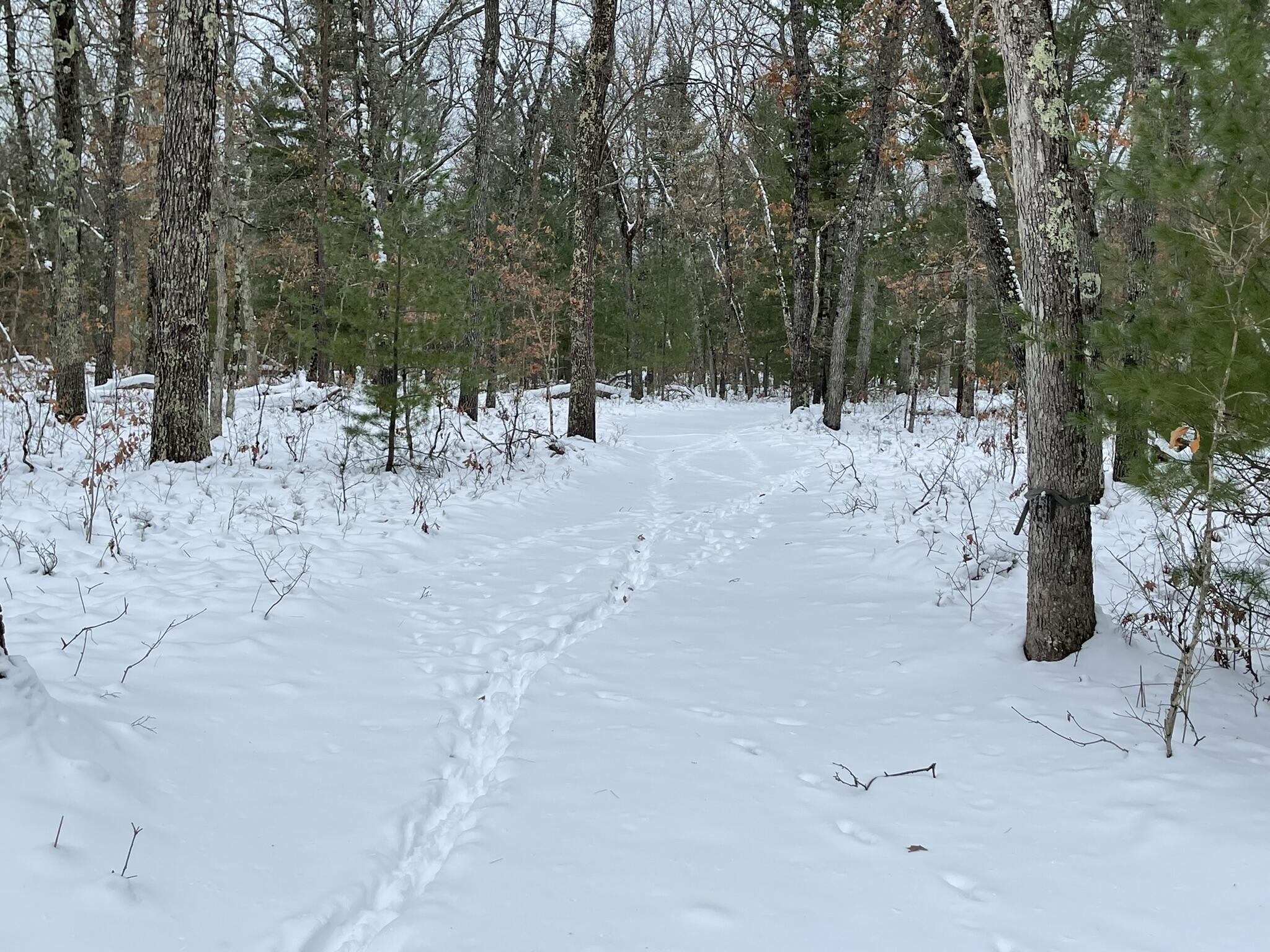 497 North Horseshoe Bend Road Manistee, MI 49660 - Photo 8 of 17 IMG_2219