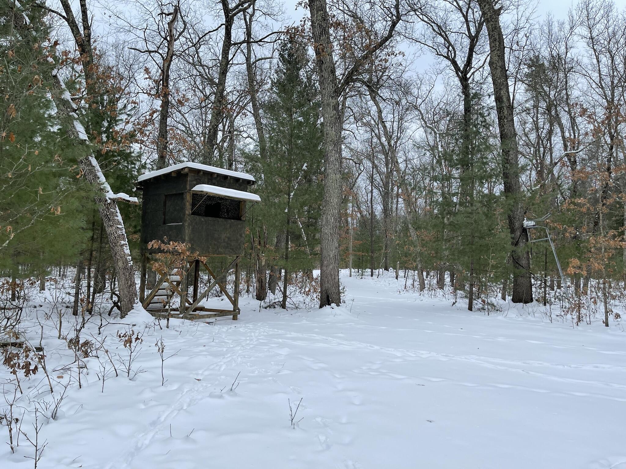 497 North Horseshoe Bend Road Manistee, MI 49660 - Photo 9 of 17 IMG_2220