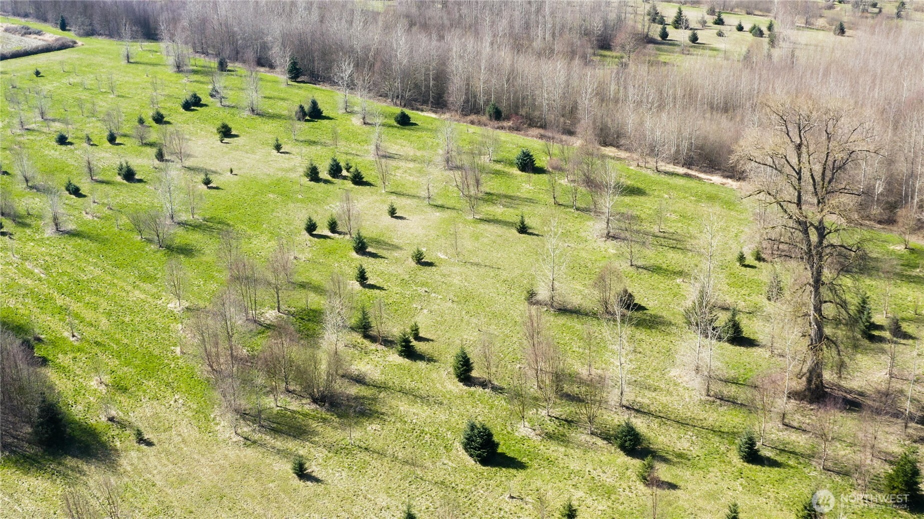 2323 Lindgren Road Mount Vernon, WA 98273 - Photo 12 of 29