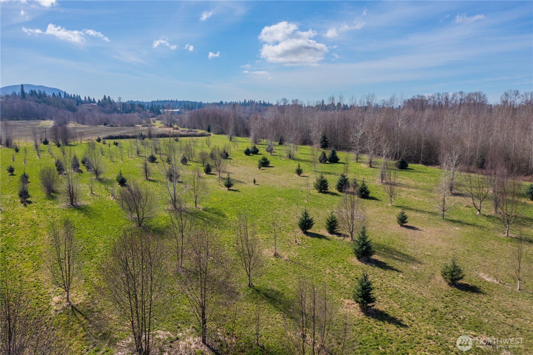 2323 Lindgren Road Mount Vernon, WA 98273 - Photo 21 of 29