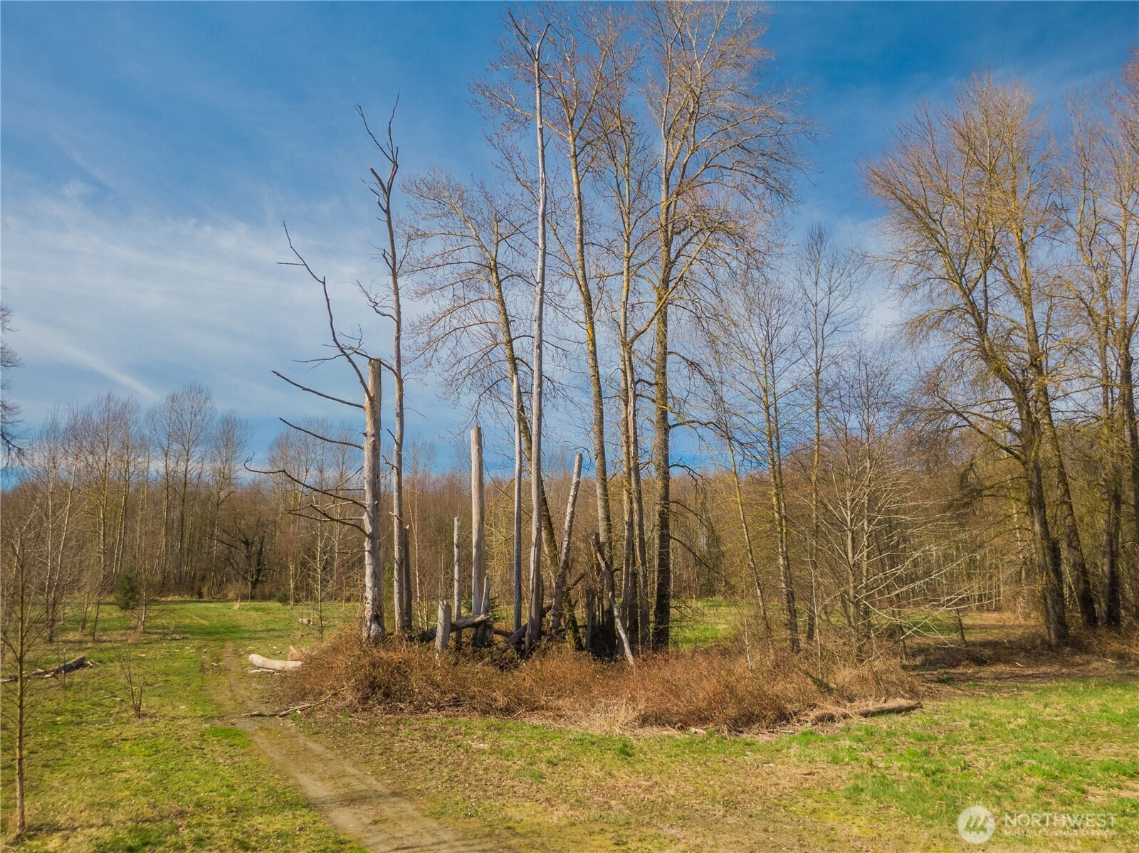 2323 Lindgren Road Mount Vernon, WA 98273 - Photo 27 of 29