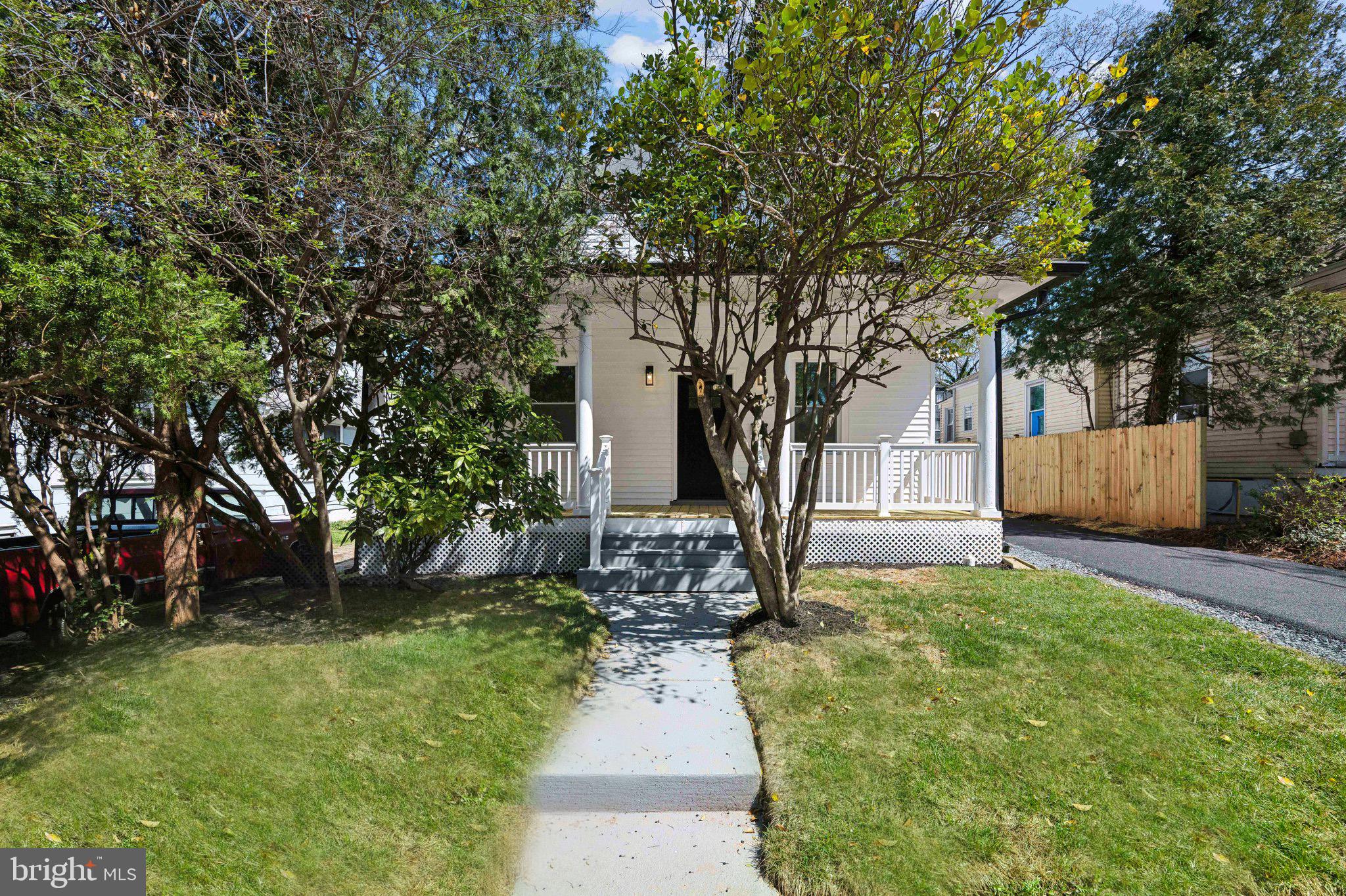 4007 35th Street Mount Rainier, MD 20712 - Photo 2 of 49 a view of a yard with plants and a large tree