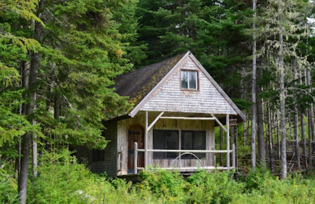 1731 Hamlin Road Van Buren, ME 04785 - Photo 1 of 34 Hamlin property - cabin