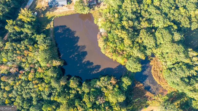 a view of swimming pool with lounge chair