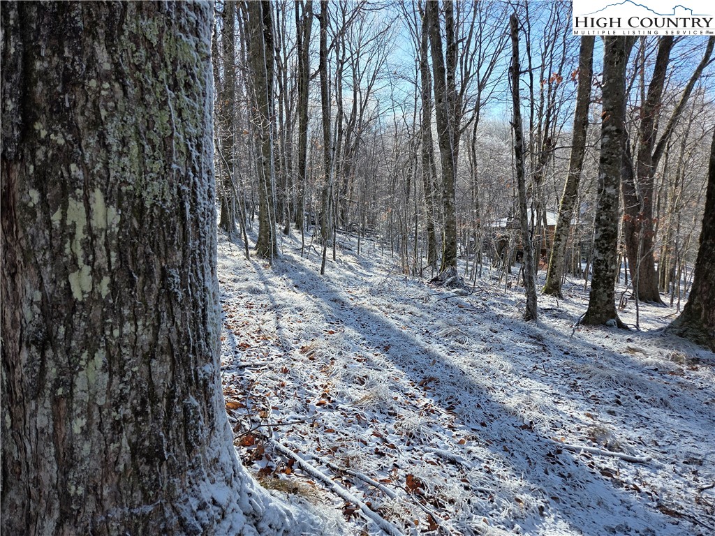 107 Spring Branch Road Beech Mountain, NC 28604 - Photo 2 of 3 a view of a yard with trees