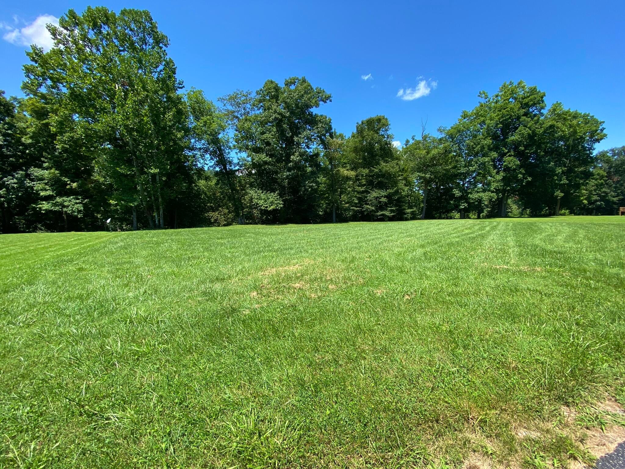 Lot 31 Fox Run Road Caldwell, WV 24925 - Photo 5 of 13 Gallery Image 5