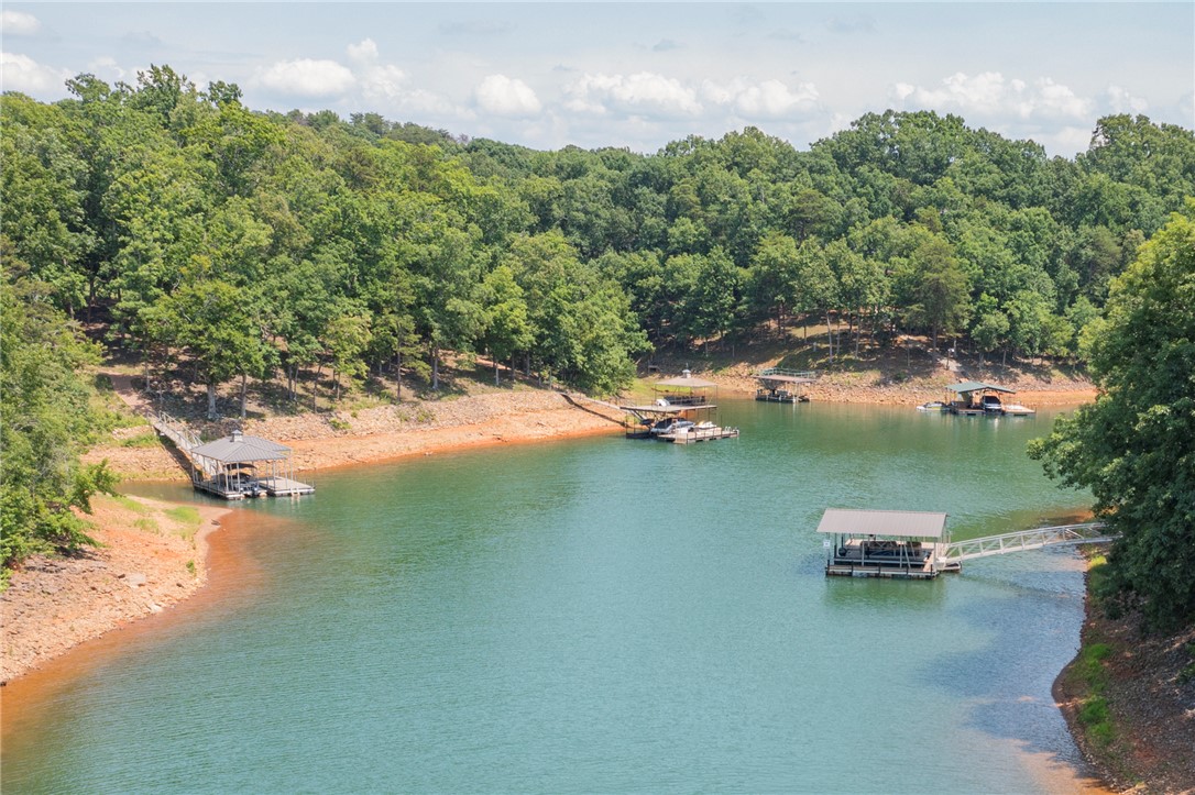 202 Plantation Point Anderson, SC 29625 - Photo 4 of 48 A tranquil lakefront property offers private docks and direct water access, surrounded by lush woodlands.