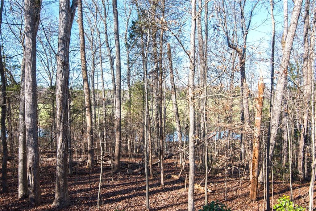 2735 Grey Road Davidson, NC 28036 - Photo 19 of 24 Gallery Image 19