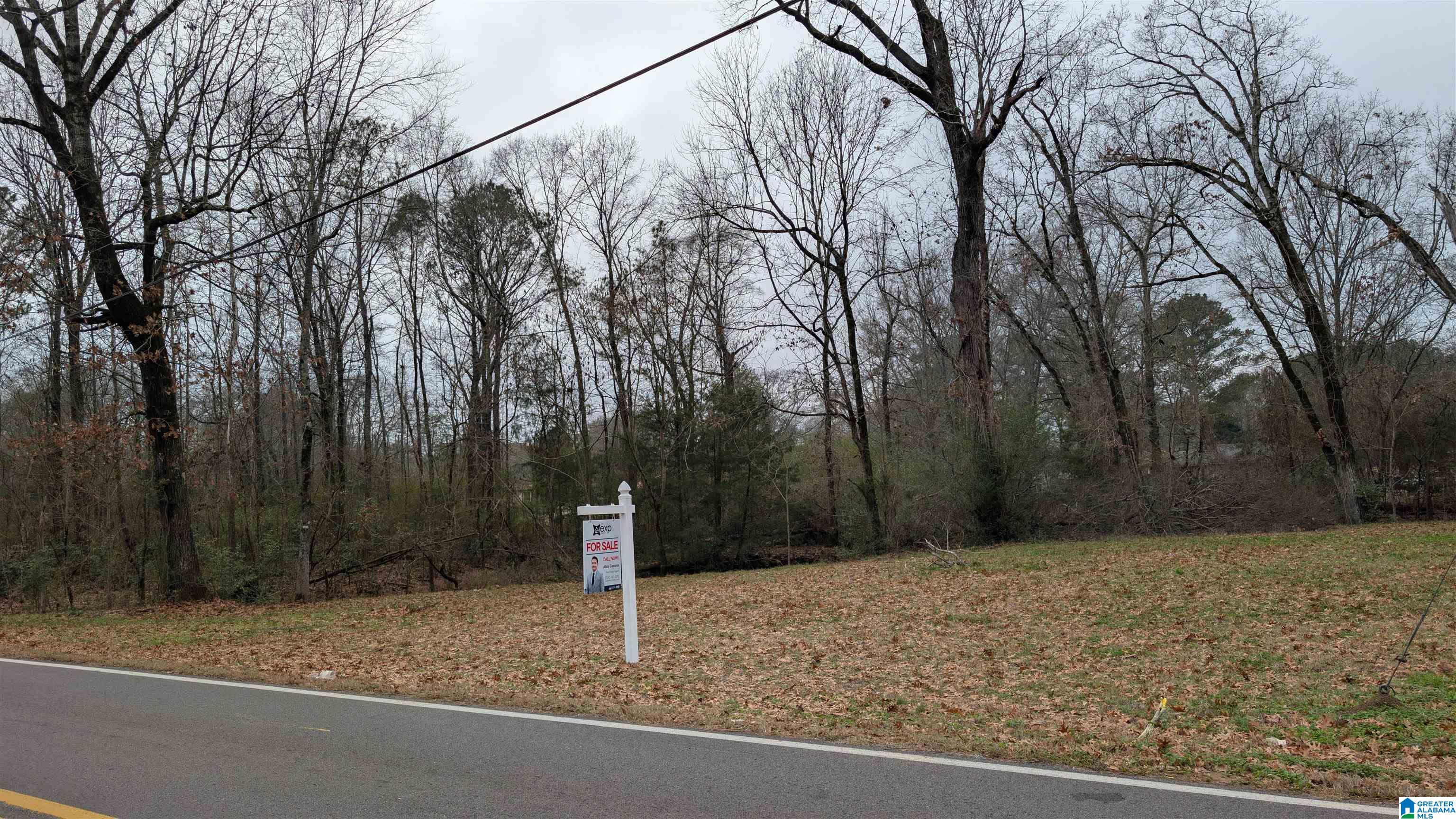 2210 20th Street, Unit 1 Calera, AL 35040 - Photo 2 of 4