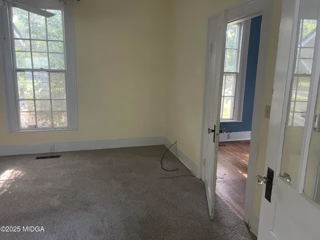 a view of a yard with plants and trees