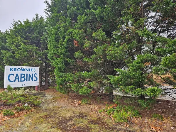 a sign that is sitting in the middle of forest