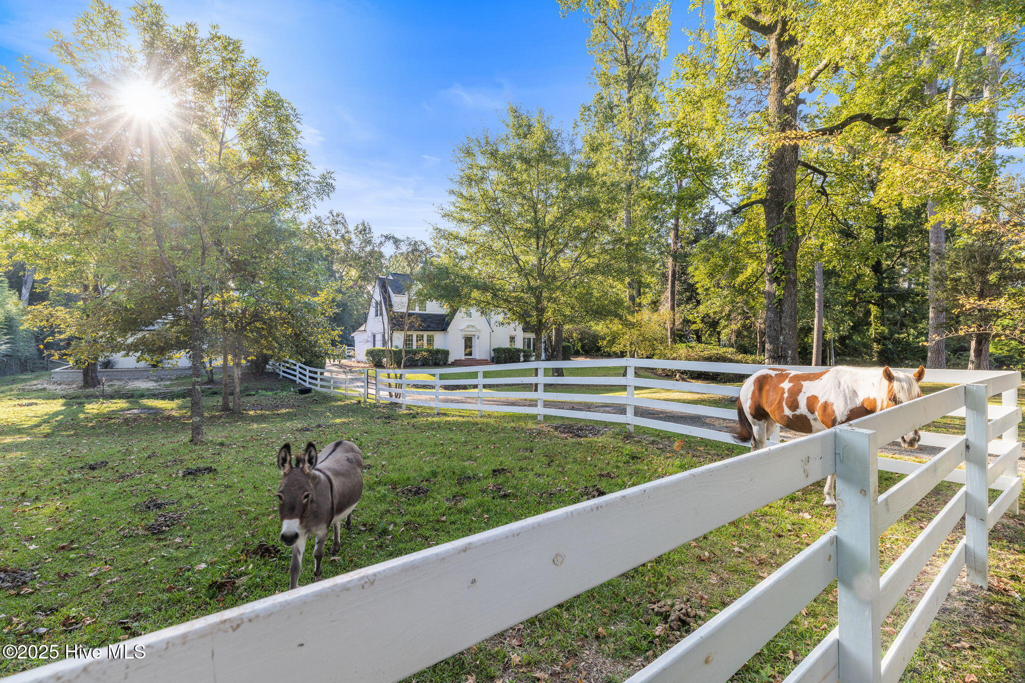 2110 Castle Hayne Road Wilmington, NC 28401 - Photo 6 of 66 6-web-or-mls-GI - 2110 Castle Hayne Rd -