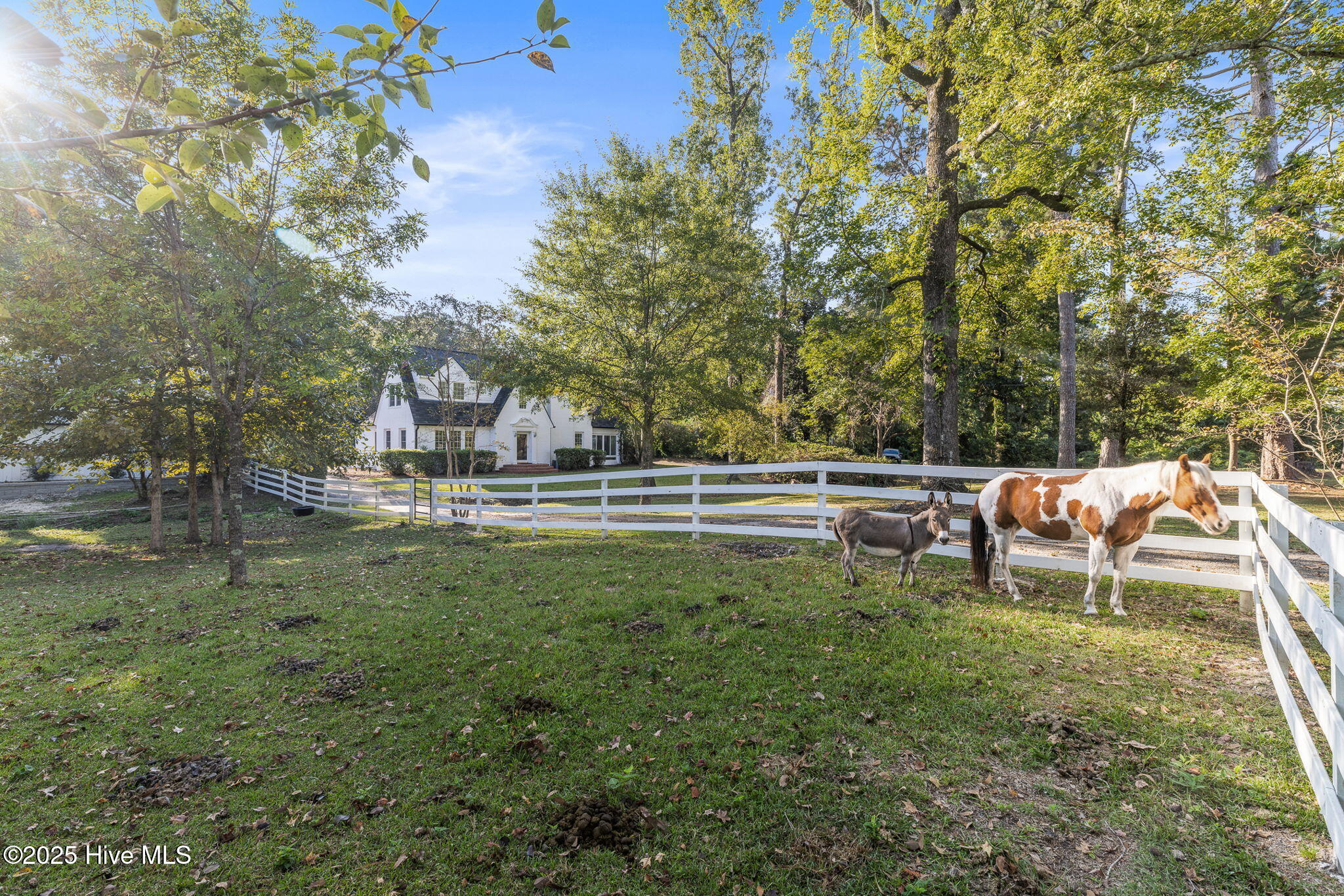 2110 Castle Hayne Road Wilmington, NC 28401 - Photo 7 of 66 7-web-or-mls-GI - 2110 Castle Hayne Rd -