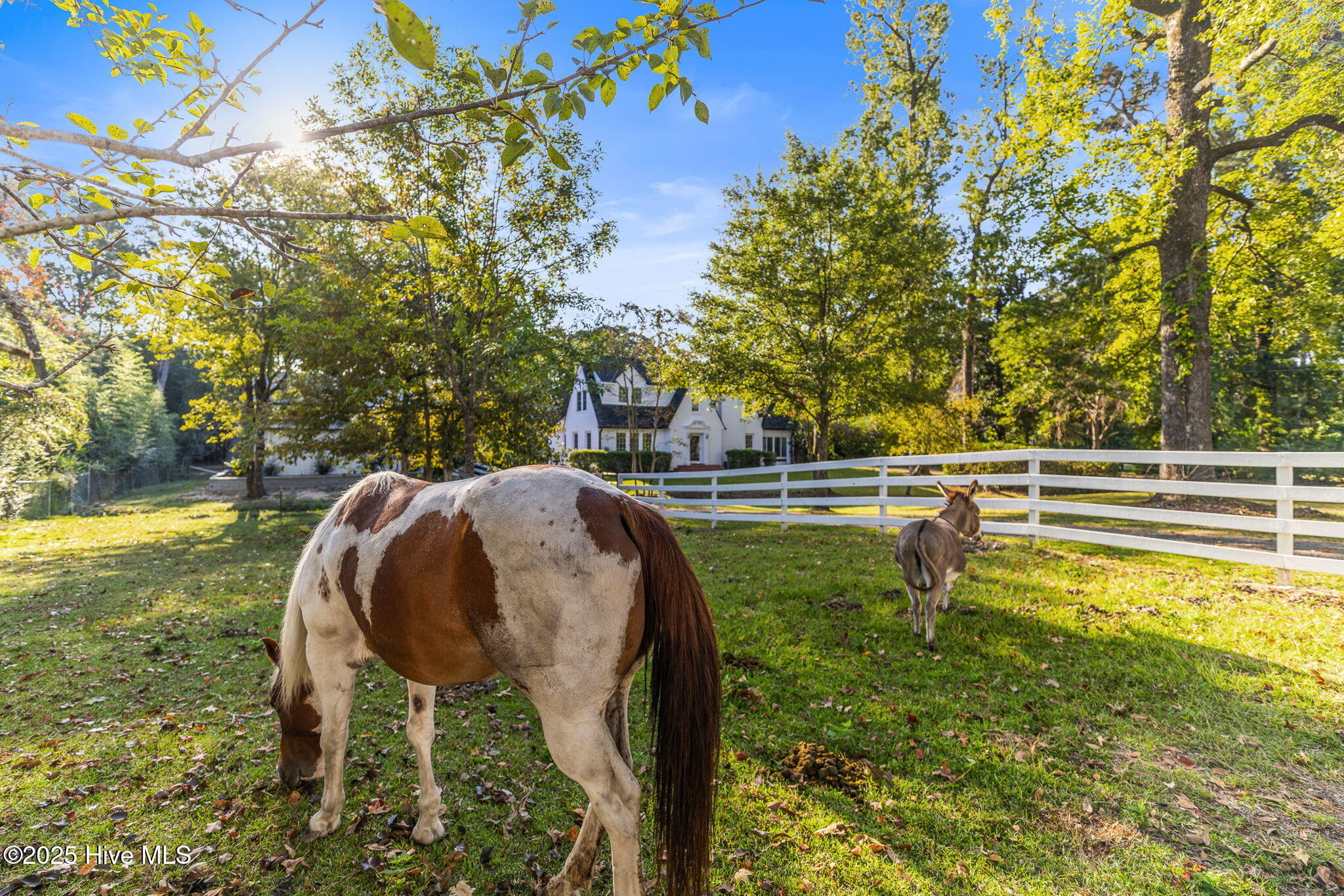 2110 Castle Hayne Road Wilmington, NC 28401 - Photo 8 of 66 9-web-or-mls-GI - 2110 Castle Hayne Rd -