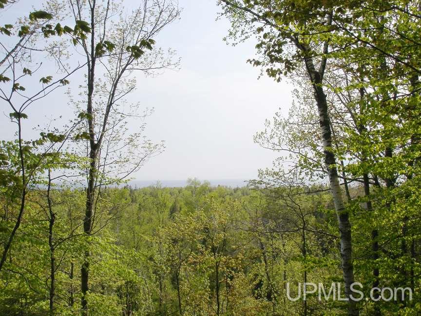 Tbd Northshore Bluffs Road, Unit 3 Manistique, MI 49854 - Photo 2 of 22