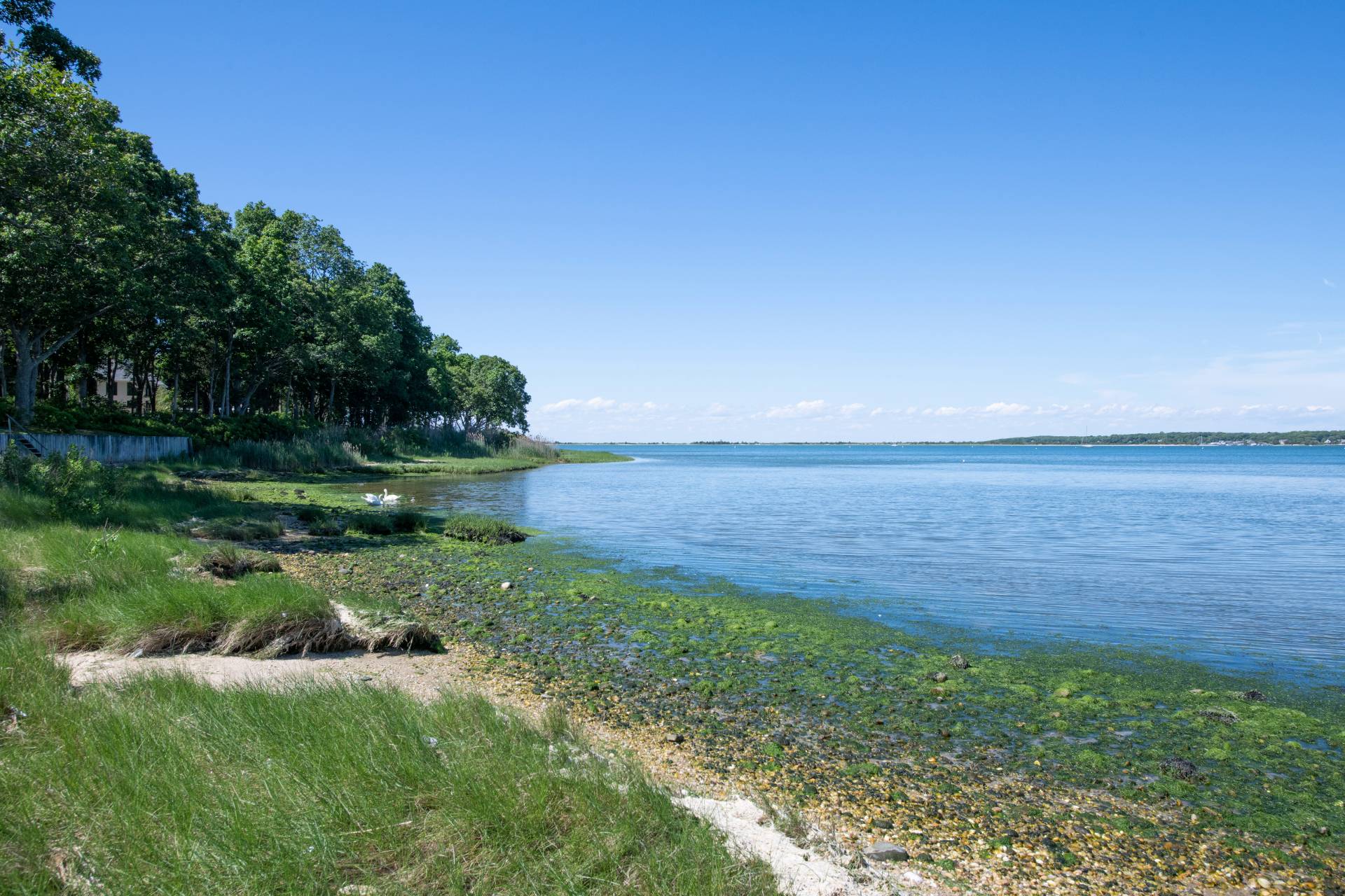 30 Springwood Way East Hampton, NY 11937 - Photo 32 of 32 a view of a field with an ocean
